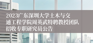 2023广东深圳大学土木与交通工程学院周英武特聘教授团队招收专职研究员公告