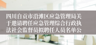 四川自贡市沿滩区应急管理局关于邀请聘任应急管理综合行政执法社会监督员拟聘任人员名单公示 