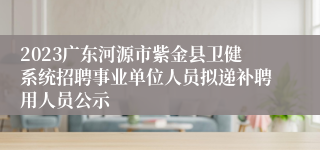 2023广东河源市紫金县卫健系统招聘事业单位人员拟递补聘用人员公示