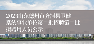 2023山东德州市齐河县卫健系统事业单位第二批招聘第二批拟聘用人员公示