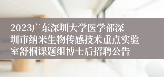 2023广东深圳大学医学部深圳市纳米生物传感技术重点实验室舒桐课题组博士后招聘公告