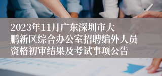 2023年11月广东深圳市大鹏新区综合办公室招聘编外人员资格初审结果及考试事项公告