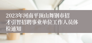 2023年河南平顶山舞钢市招才引智招聘事业单位工作人员体检通知