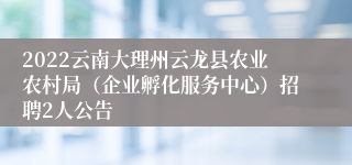 2022云南大理州云龙县农业农村局（企业孵化服务中心）招聘2人公告