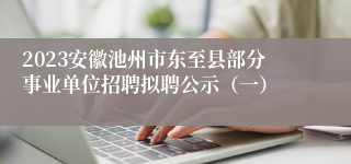 2023安徽池州市东至县部分事业单位招聘拟聘公示（一）