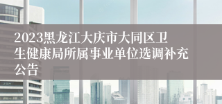 2023黑龙江大庆市大同区卫生健康局所属事业单位选调补充公告