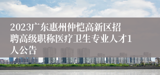 2023广东惠州仲恺高新区招聘高级职称医疗卫生专业人才1人公告 