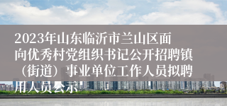 2023年山东临沂市兰山区面向优秀村党组织书记公开招聘镇（街道）事业单位工作人员拟聘用人员公示