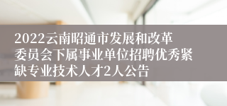 2022云南昭通市发展和改革委员会下属事业单位招聘优秀紧缺专业技术人才2人公告