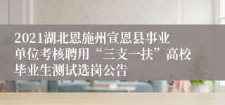 2021湖北恩施州宣恩县事业单位考核聘用“三支一扶”高校毕业生测试选岗公告