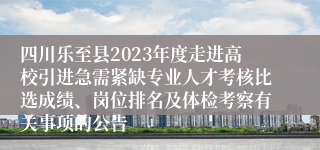 四川乐至县2023年度走进高校引进急需紧缺专业人才考核比选成绩、岗位排名及体检考察有关事项的公告