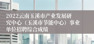2022云南玉溪市产业发展研究中心（玉溪市节能中心）事业单位招聘综合成绩