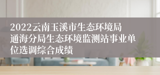 2022云南玉溪市生态环境局通海分局生态环境监测站事业单位选调综合成绩