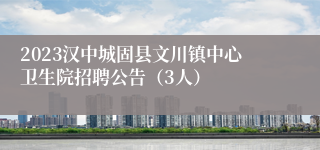 2023汉中城固县文川镇中心卫生院招聘公告（3人）