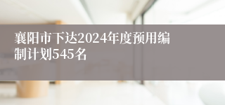 襄阳市下达2024年度预用编制计划545名