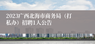 2023广西北海市商务局（打私办）招聘1人公告