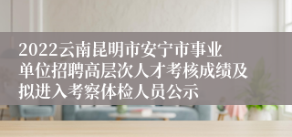 2022云南昆明市安宁市事业单位招聘高层次人才考核成绩及拟进入考察体检人员公示