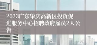 2023广东肇庆高新区投资促进服务中心招聘政府雇员2人公告