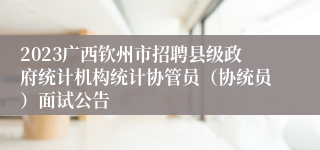 2023广西钦州市招聘县级政府统计机构统计协管员（协统员）面试公告