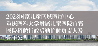 2023国家儿童区域医疗中心重庆医科大学附属儿童医院宜宾医院招聘行政后勤临时负责人及骨干公告