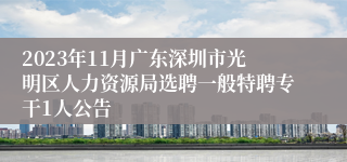 2023年11月广东深圳市光明区人力资源局选聘一般特聘专干1人公告