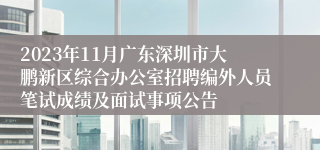 2023年11月广东深圳市大鹏新区综合办公室招聘编外人员笔试成绩及面试事项公告