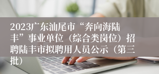 2023广东汕尾市“奔向海陆丰”事业单位（综合类岗位）招聘陆丰市拟聘用人员公示（第三批）