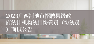 2023广西河池市招聘县级政府统计机构统计协管员（协统员）面试公告