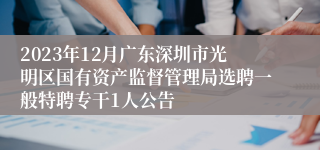 2023年12月广东深圳市光明区国有资产监督管理局选聘一般特聘专干1人公告