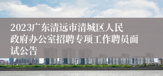 2023广东清远市清城区人民政府办公室招聘专项工作聘员面试公告