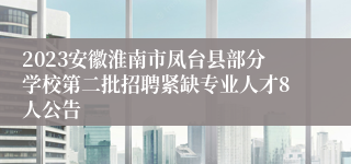 2023安徽淮南市凤台县部分学校第二批招聘紧缺专业人才8人公告