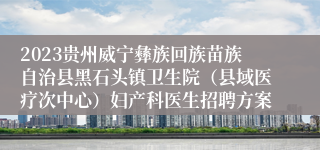 2023贵州威宁彝族回族苗族自治县黑石头镇卫生院（县域医疗次中心）妇产科医生招聘方案