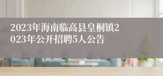 2023年海南临高县皇桐镇2023年公开招聘5人公告