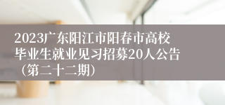 2023广东阳江市阳春市高校毕业生就业见习招募20人公告（第二十二期）