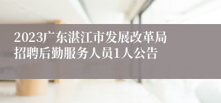 2023广东湛江市发展改革局招聘后勤服务人员1人公告