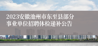 2023安徽池州市东至县部分事业单位招聘体检递补公告