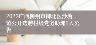 2023广西柳州市柳北区沙塘镇公开选聘村级党务助理1人公告