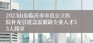 2023山东临沂市市直公立医院补充引进急需紧缺专业人才55人简章