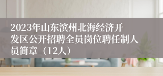 2023年山东滨州北海经济开发区公开招聘全员岗位聘任制人员简章（12人）