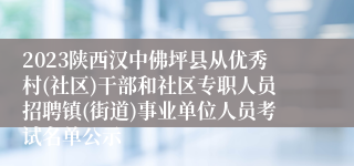 2023陕西汉中佛坪县从优秀村(社区)干部和社区专职人员招聘镇(街道)事业单位人员考试名单公示