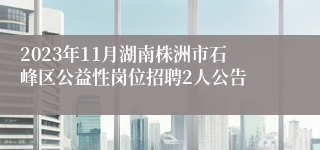 2023年11月湖南株洲市石峰区公益性岗位招聘2人公告