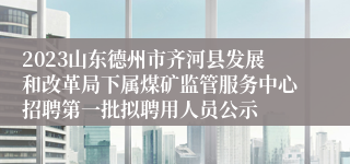 2023山东德州市齐河县发展和改革局下属煤矿监管服务中心招聘第一批拟聘用人员公示