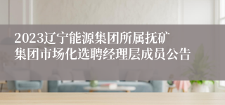 2023辽宁能源集团所属抚矿集团市场化选聘经理层成员公告