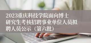 2023重庆科技学院面向博士研究生考核招聘事业单位人员拟聘人员公示（第六批）