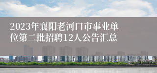 2023年襄阳老河口市事业单位第二批招聘12人公告汇总