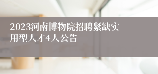 2023河南博物院招聘紧缺实用型人才4人公告