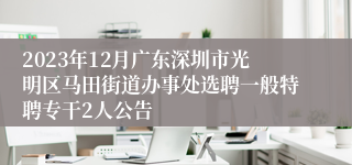 2023年12月广东深圳市光明区马田街道办事处选聘一般特聘专干2人公告