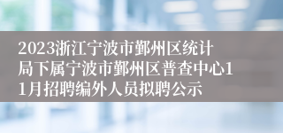 2023浙江宁波市鄞州区统计局下属宁波市鄞州区普查中心11月招聘编外人员拟聘公示