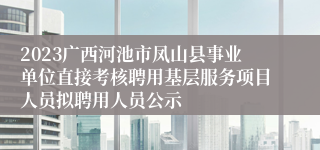 2023广西河池市凤山县事业单位直接考核聘用基层服务项目人员拟聘用人员公示