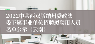 2022中共西双版纳州委政法委下属事业单位招聘拟聘用人员名单公示(云南)